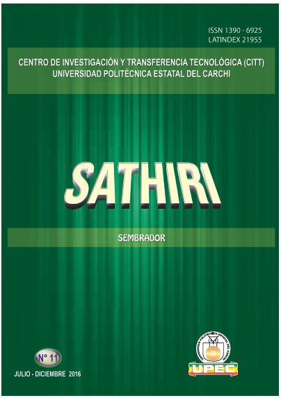 SATHIRI:SEMBRADOR N° 11