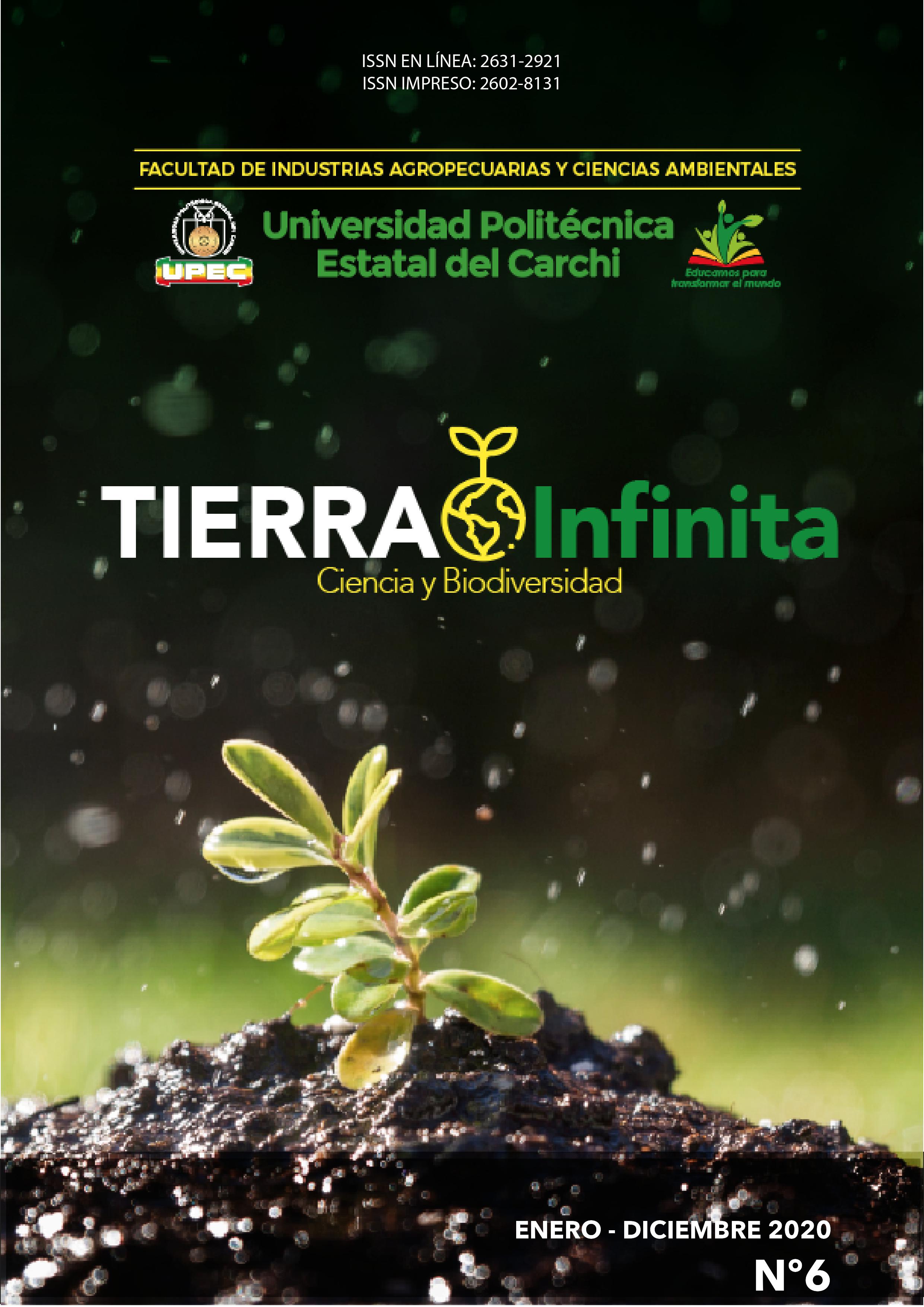 					Ver Vol. 6 Núm. 1 (2020):  Tierra Infinita
				